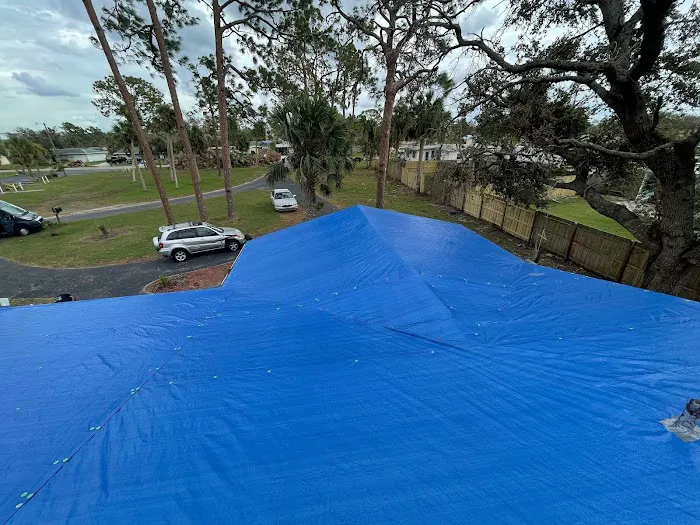 ALL STARS DRY Picture 2