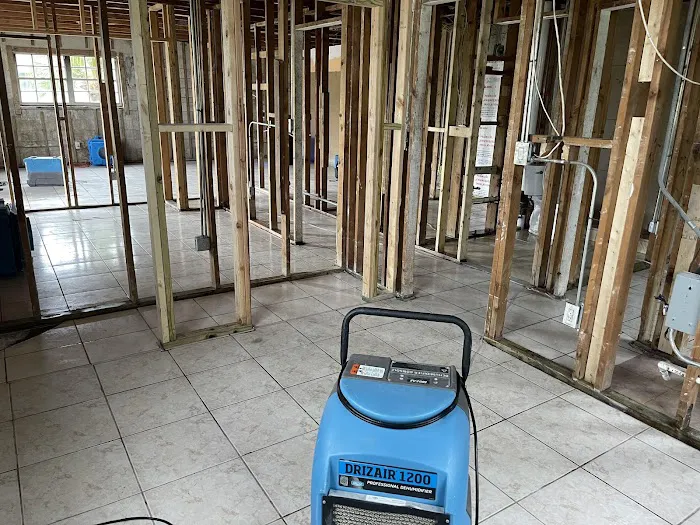 ALL STARS DRY Picture 3