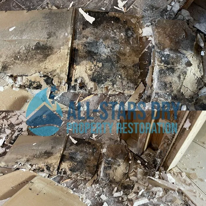 ALL STARS DRY Picture 5