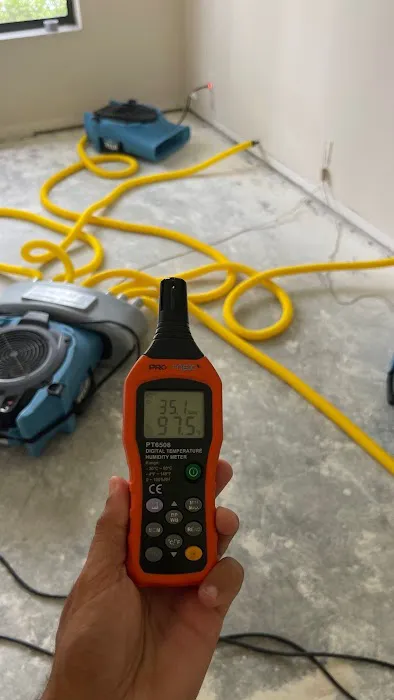 ALL STARS DRY Picture 6