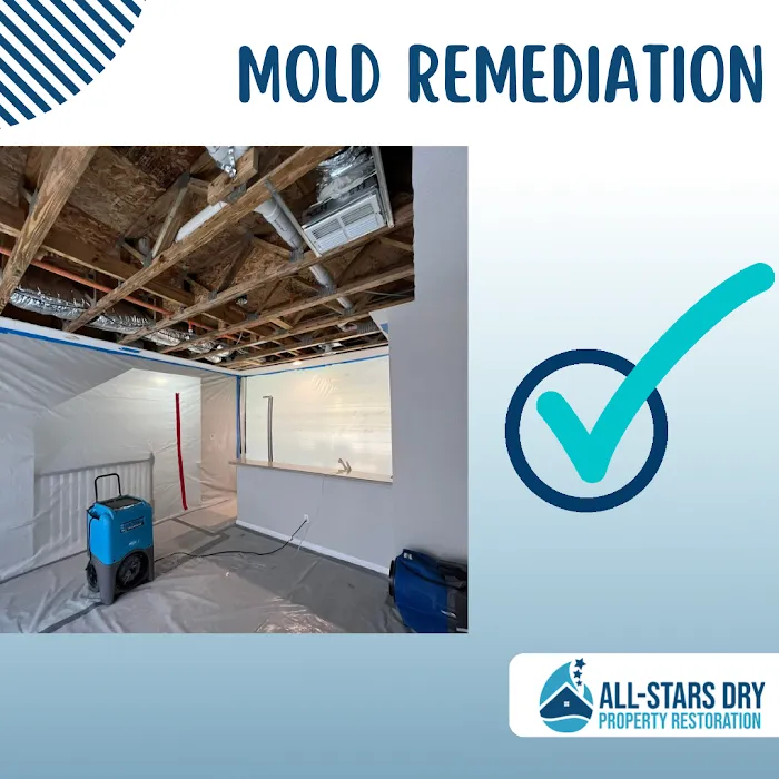 ALL STARS DRY Picture 9