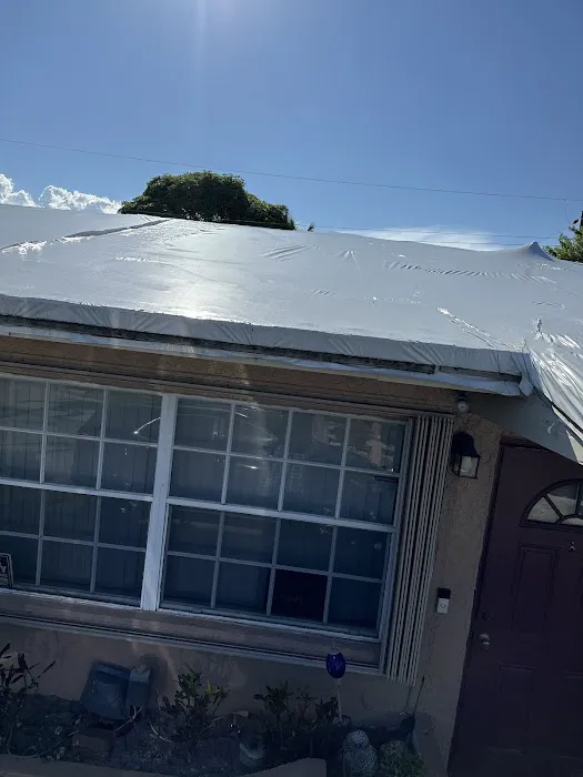 ALL STARS DRY Picture 8