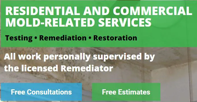 AMD Mold Testing & Remediation Picture 2