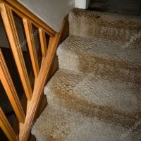 Boca Raton Water Damage Restoration Pro ico