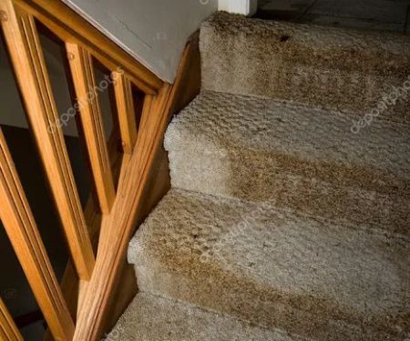 Boca Raton Water Damage Restoration Pro