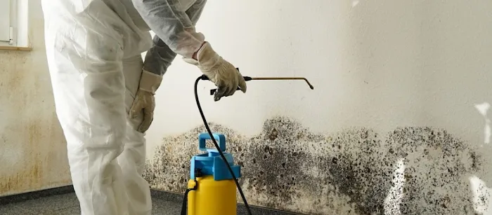 Boca Raton Water Damage Restoration Pro Picture 3