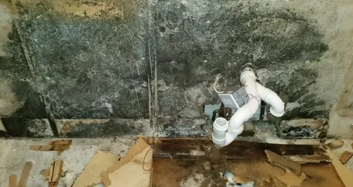 Boca Raton Water Damage Restoration Pro Picture 5