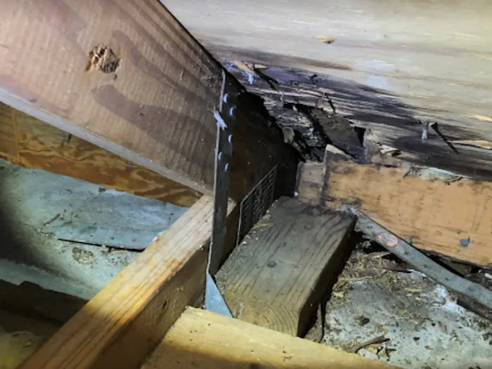 Boca Raton Water Damage Restoration Pro Picture 6