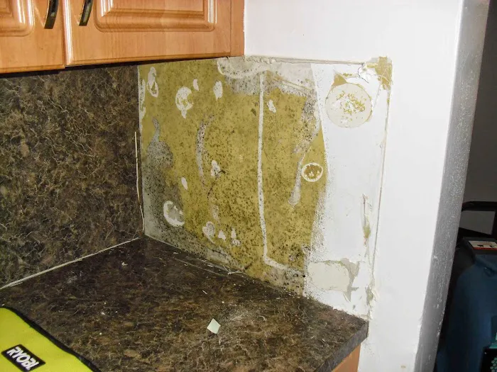 Sunshine State Water Restoration Picture 2