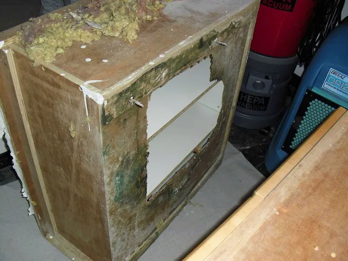 Sunshine State Water Restoration Picture 8