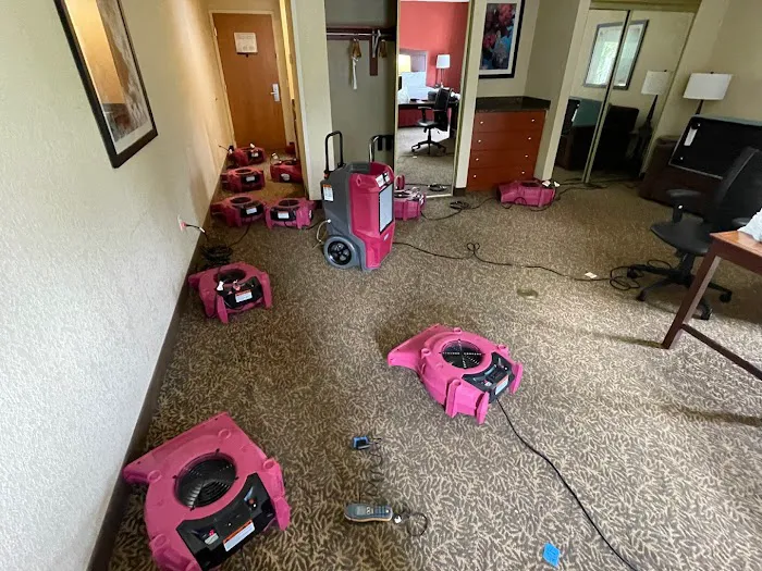 PuroClean of Deerfield Beach Picture 3