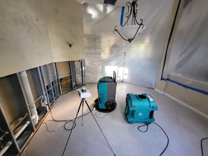 Mold Shark Picture 2