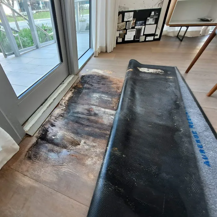 Mold Shark Picture 3