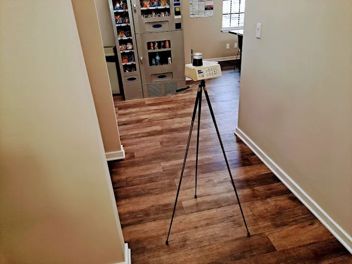 Mold Shark Picture 1