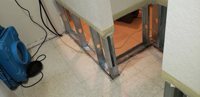 Mold Shark Picture 6