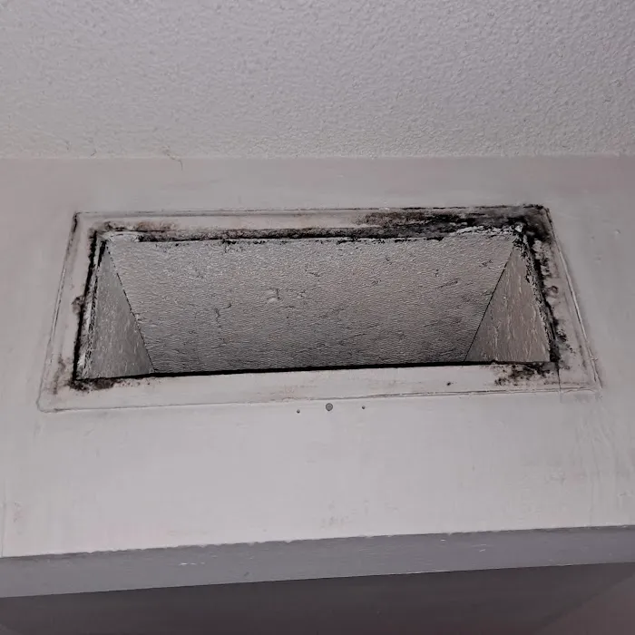 Mold Shark Picture 5