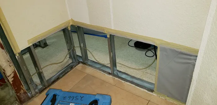 Mold Shark Picture 8