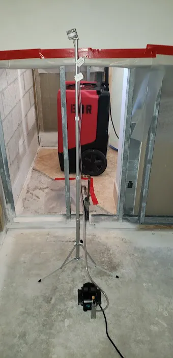 Mold Shark Picture 7