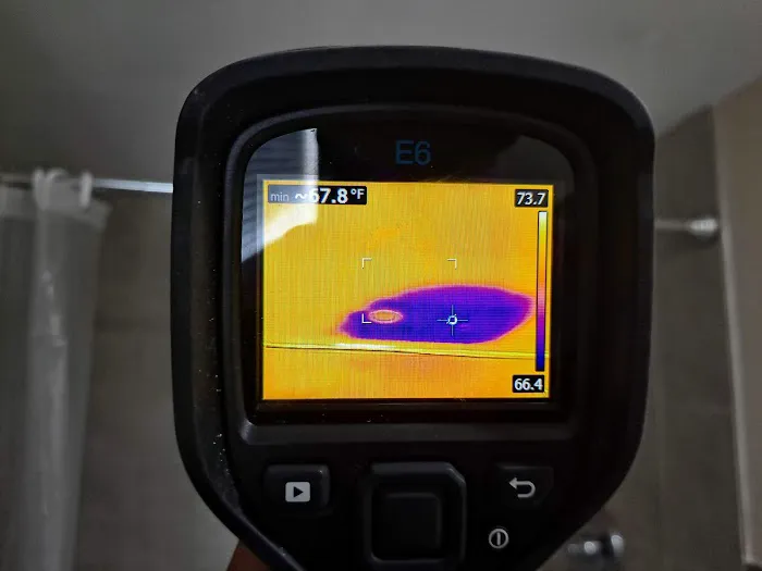 Mold Shark Picture 4