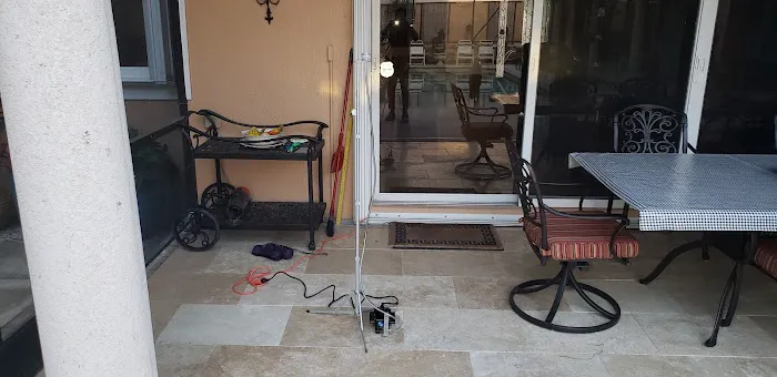 Mold Shark Picture 9