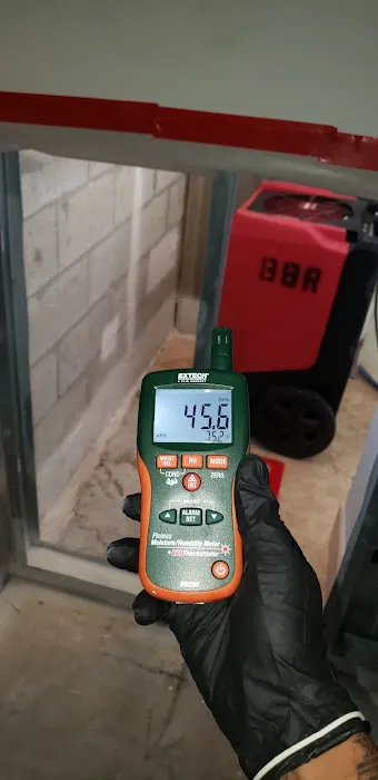 Mold Shark Picture 10