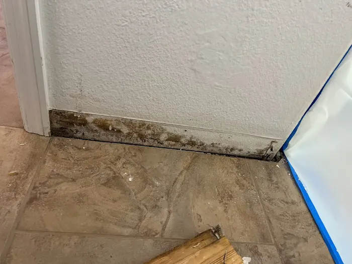 EMP RESTORATION Picture 6