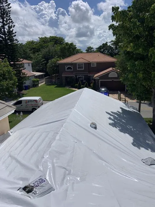 EMP RESTORATION Picture 9