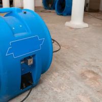 Revive Water Damage Restoration of Boca Raton ico