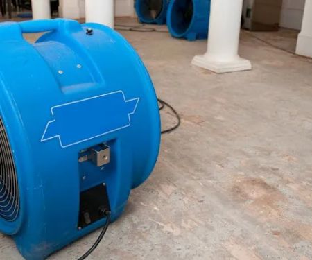 Revive Water Damage Restoration of Boca Raton