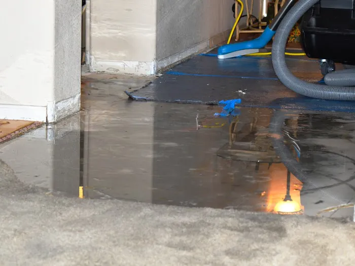 Revive Water Damage Restoration of Boca Raton Picture 8