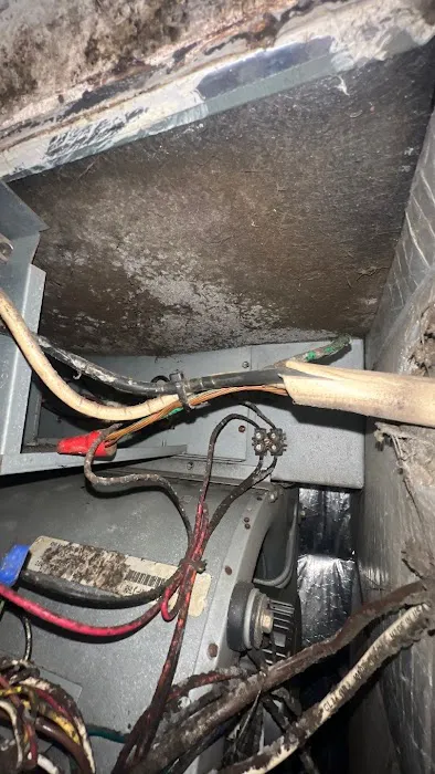 Rescue Clean 911 Water Damage, Mold Remediation, Biohazard Cleanup in Boca Raton Picture 10