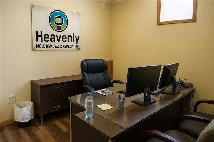 Heavenly Mold Removal & Remediation Boca Raton FL Picture 1