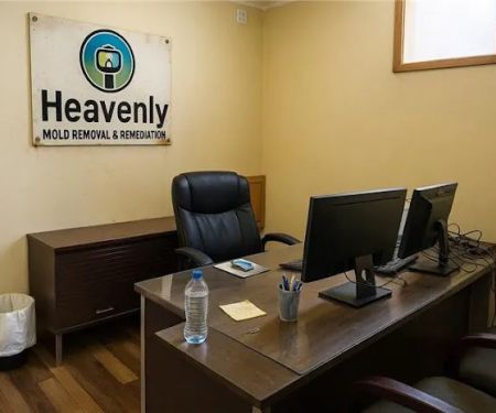 Heavenly Mold Removal & Remediation Boca Raton FL