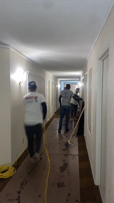 RMM Restoration Picture 1