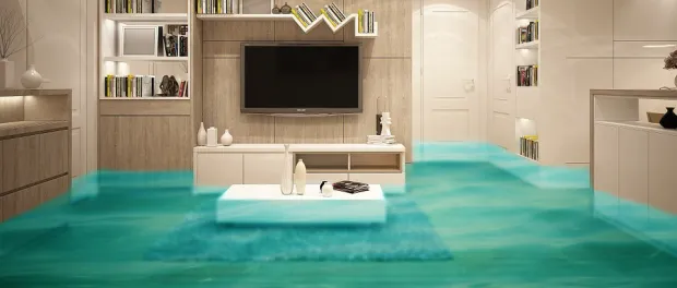 Rapid Restoration Recovery, Inc. Picture 8