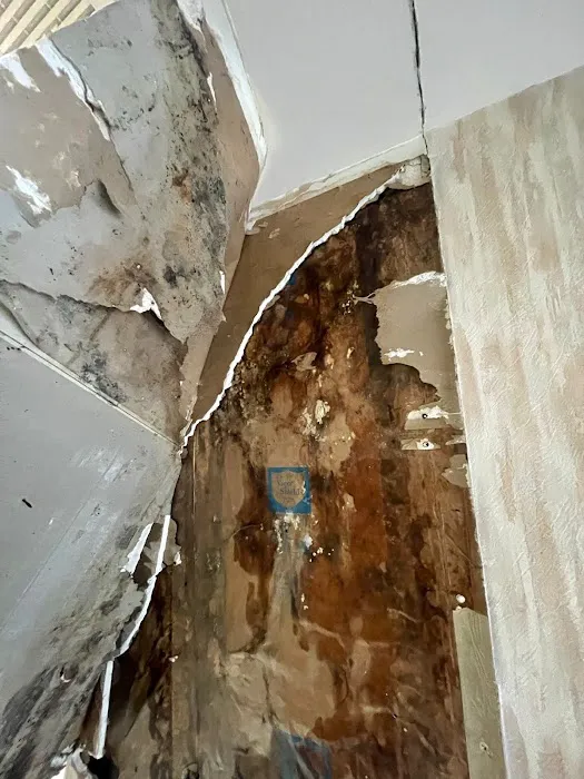DC Restoration Services Picture 6