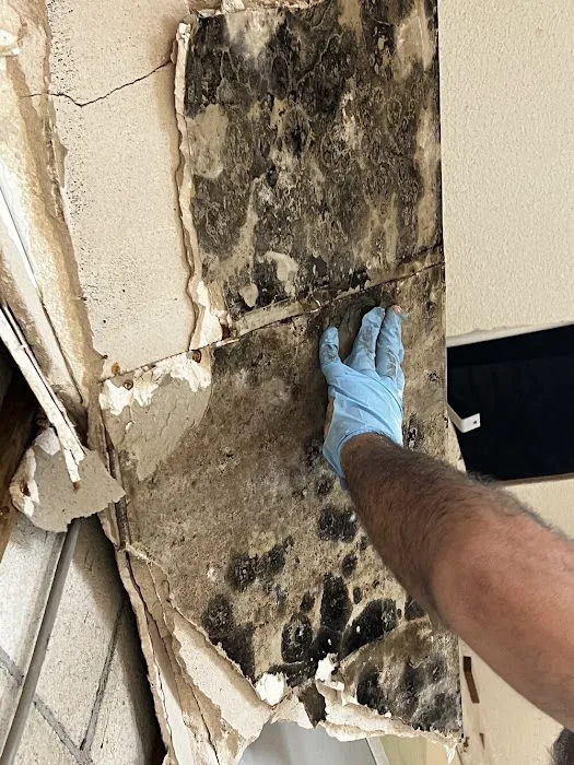 SERVPRO of South Palm Beach Picture 8