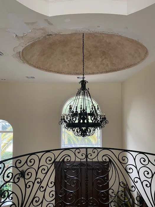 Water Cleanup of Florida Picture 2