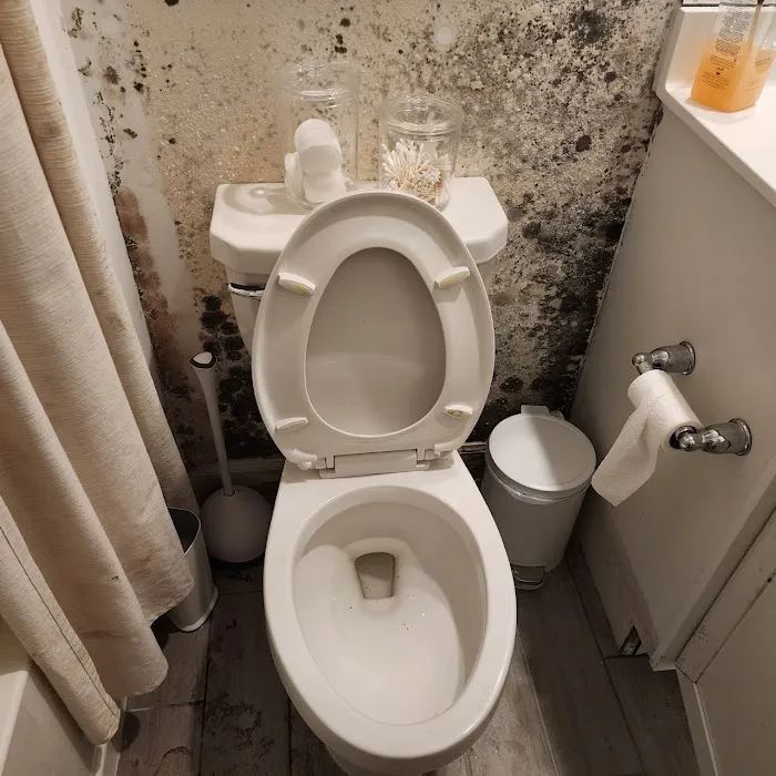 Water Cleanup of Florida Picture 4