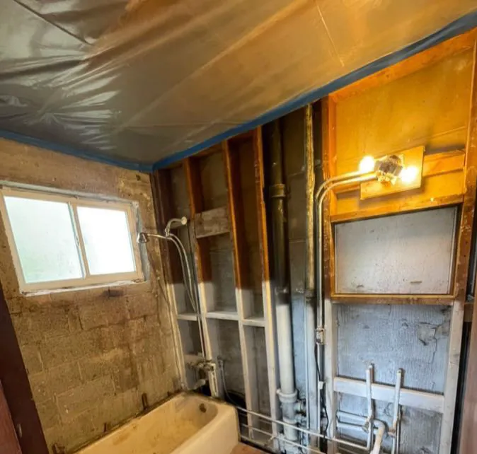 Affordable Mold Testing and Assessments Picture 1