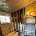 Affordable Mold Testing and Assessments