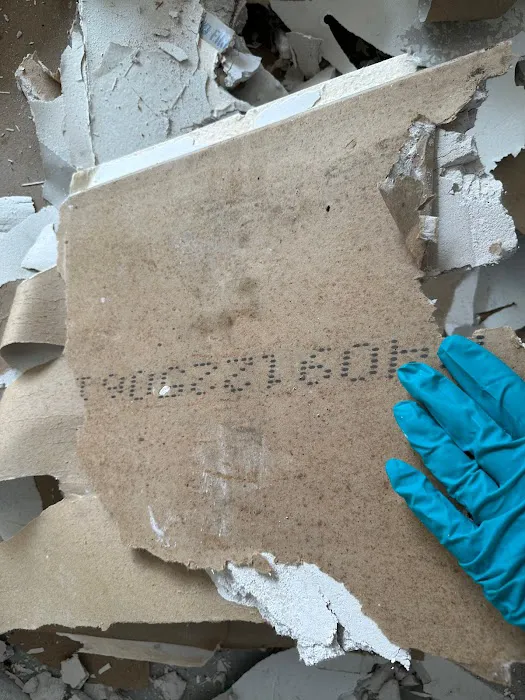 Affordable Mold Testing and Assessments Picture 6