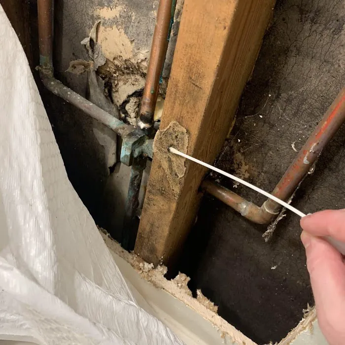 Affordable Mold Testing and Assessments Picture 3