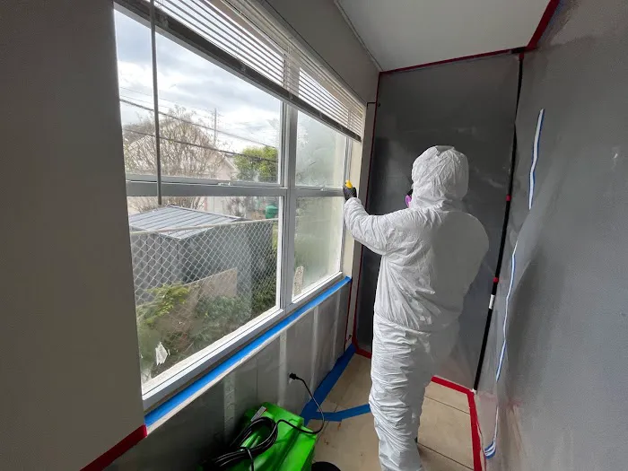 Affordable Mold Testing and Assessments Picture 4