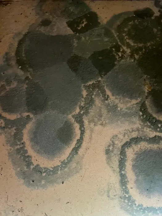 Affordable Mold Testing and Assessments Picture 5