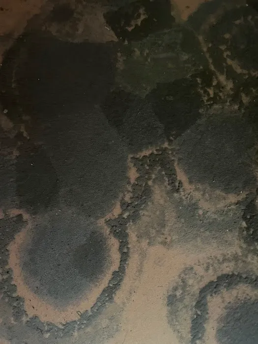 Affordable Mold Testing and Assessments Picture 9