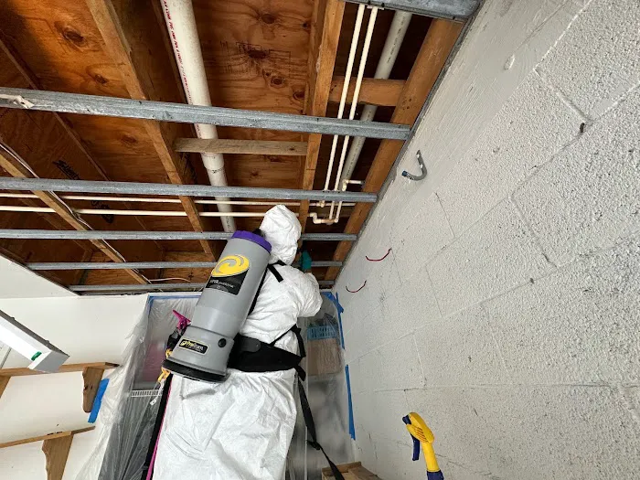 Affordable Mold Testing and Assessments Picture 8