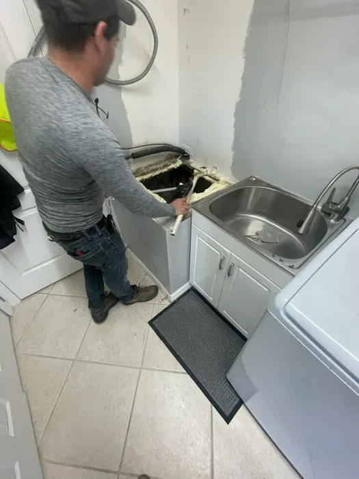 Affordable Mold Testing and Assessments Picture 7