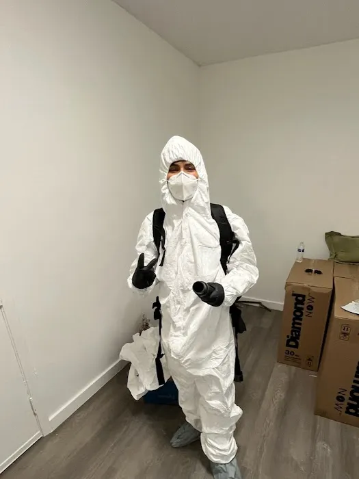 Affordable Mold Testing and Assessments Picture 10