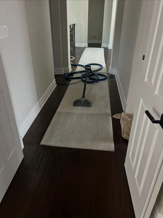 Super Dry USA Picture 6